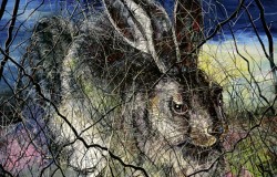 CHINA8_www_Kachelbild_MKM