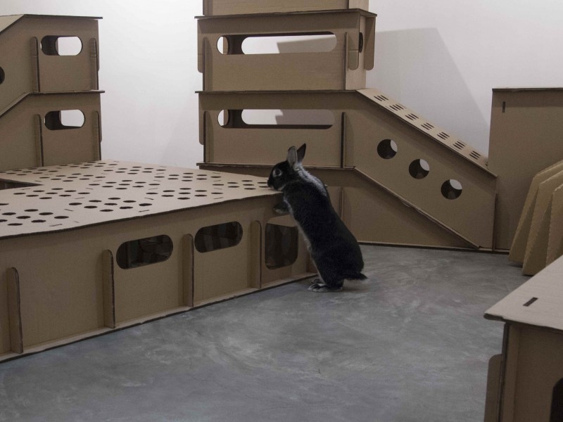 Adrian Wong Telepathically Designed Bespoke Rabbit Warren No. 2, 2015 © Adrian Wong  